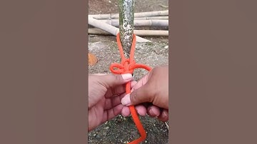 “Easiest Knot Ever!” #diy #shorts #knot