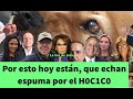 Por esto, hoy están que echan espuma por el H0C1C0. Les URGE que regrese el PRIAN