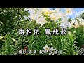 花蓮U 日常美景 兩相依 鳳飛飛 20250519 花蓮U 日常美景 兩相依 鳳飛飛 20250519