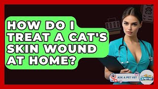 How Do I Treat A Cat's Skin Wound At Home? - Ask A Pet Vet