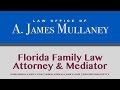 Jacksonville Divorce Lawyer | Florida Family Law Attorney &amp; Mediator A. James Mullaney briefly discusses his practice and what he does for clients.