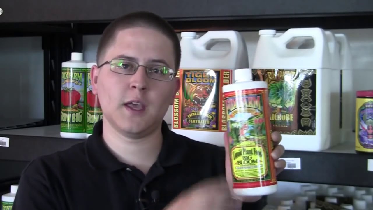 Fox Farm Big Bloom Explained YouTube