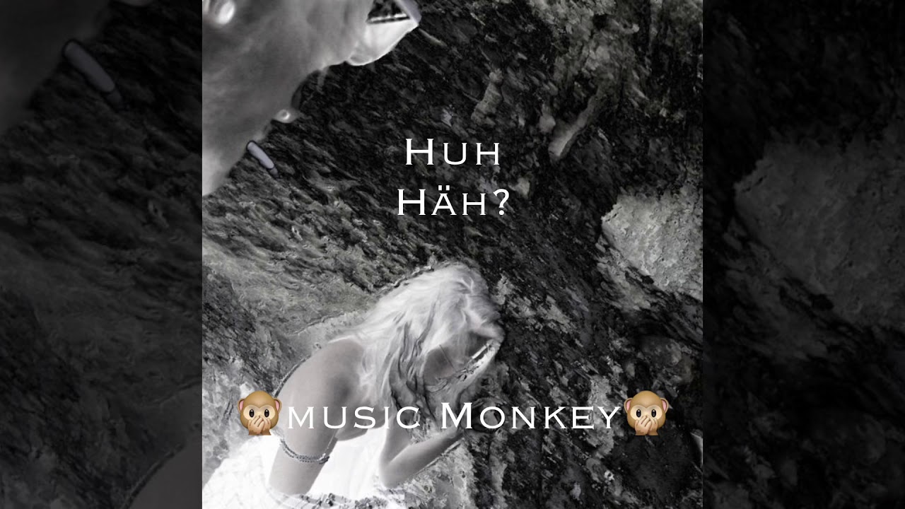 AUDIO | Huh - Häh?