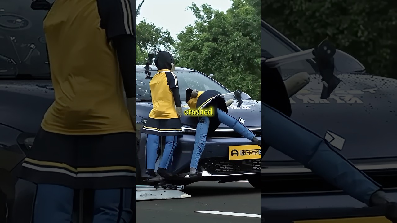 Chinese Cars VS Tesla
