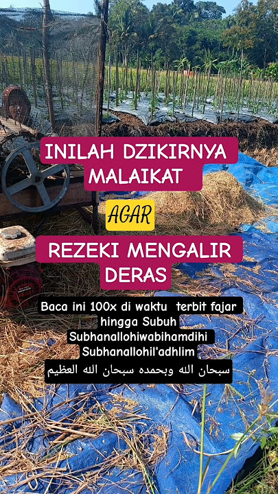 Inilah bacaan Tasbihnya Malaikat agar rezeki mengalir deras#siramanqolbu#dakwah#shorts