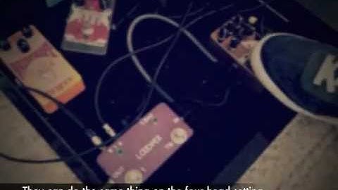 Catalinbread Echorec vs Binson Echorec