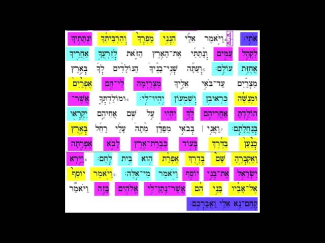 Vaychi aliya 3