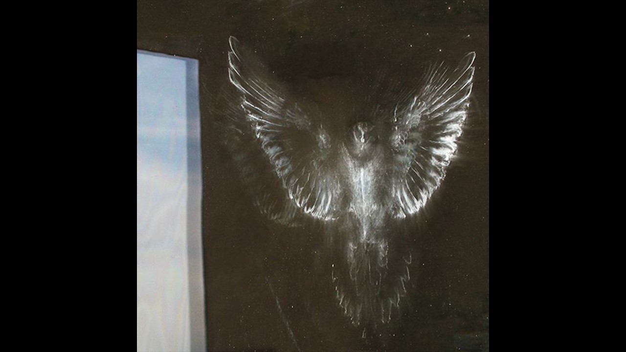 [free] tana + untiljapan type beat - 