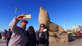 Tutorial APP Tuismo Mar del Plata screenshot 5