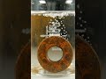 Acid Cleaning a Rusted Thick SAE Flat Washer #acidcleaning #rustremoval  #SAEWasher