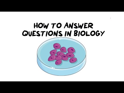 Video: Come rispondi alle domande di biologia AP?