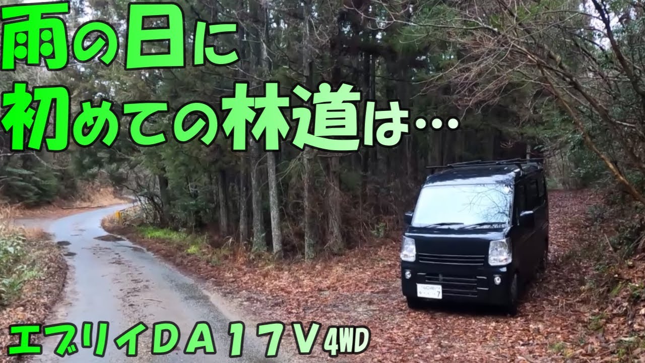 ぬかるんでいないように見えてぬかるんでいる林道