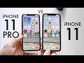 iPhone 11 Vs iPhone 11 Pro In 2022! (Comparison) (Review)