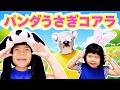 【手遊び・童謡】パンダうさぎコアラ🐼🐰🐨 あのしーちゃんといっしょ♪ | あのしーちゃん | パピプペポちゃんねる