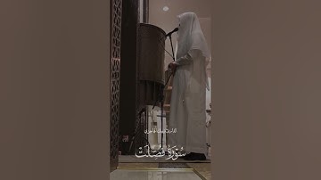 القارئ فيصل الهاجري ماتيسر من سورة فصلت