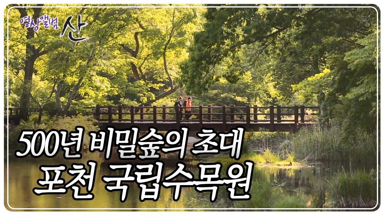 500여 년간 지켜온 비밀의 숲, '포천 국립수목원' [영상앨범 산] KBS 190602 방송