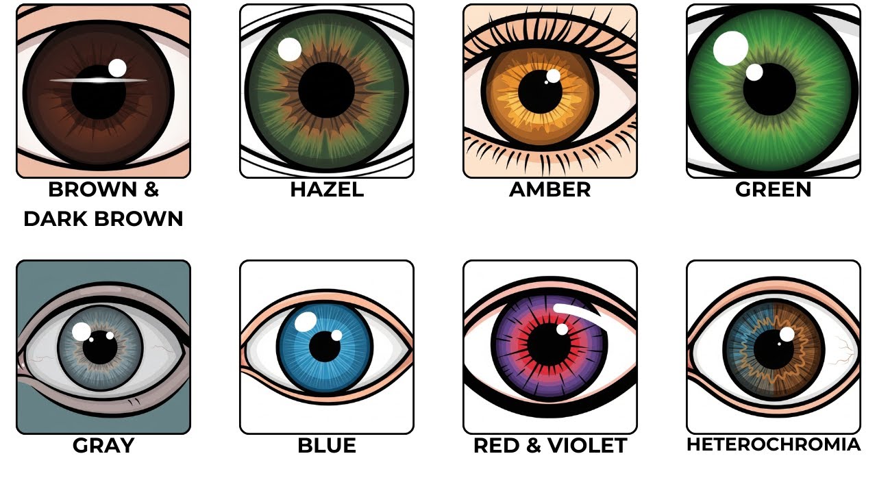Every Eye Color You Can Be Born With Explained in 10 Minutes - YouTube