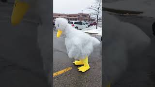 Guys in duck suits go to walmart
