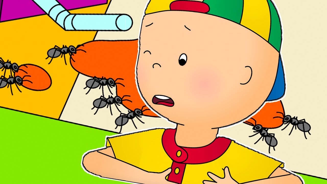 Caillou En Francais Caillou Et Les Fourmis Dessin Anime Dessin Anime Pour Bebe Nouveau Caillou En Francais Wildbrain Pausefun