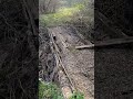 поход к ручейку оказался с приключением😨