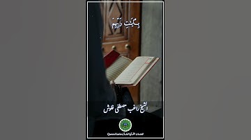 الشيخ راغب مصطفى غلوش _ سورة الفرقان 💗