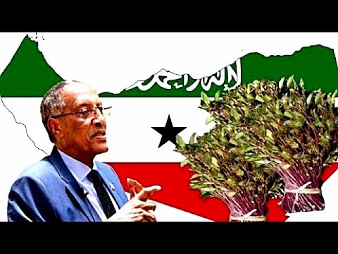 Deg Deg Xukuumada Somaliland Oo Fasaxdey Qaadkii + Sababta Bedeshay Go,aankii Xukuumada Ee Joojinta?