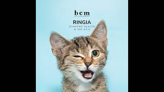 Diamond Dealer, Idd Aziz _ Ringia (Original Mix)