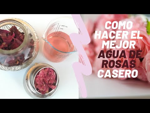 Cómo hacer el