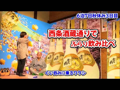 西条酒蔵通り、日本酒飲みくらべ