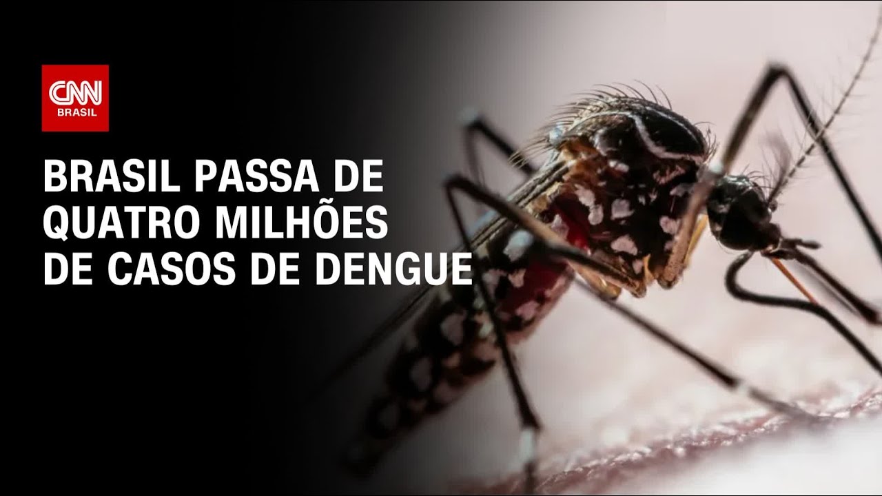 Brasil passa de quatro milhões de casos de dengue | CNN 360º