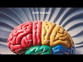 Different lobes of Brain | Human Physiology | Neural Control