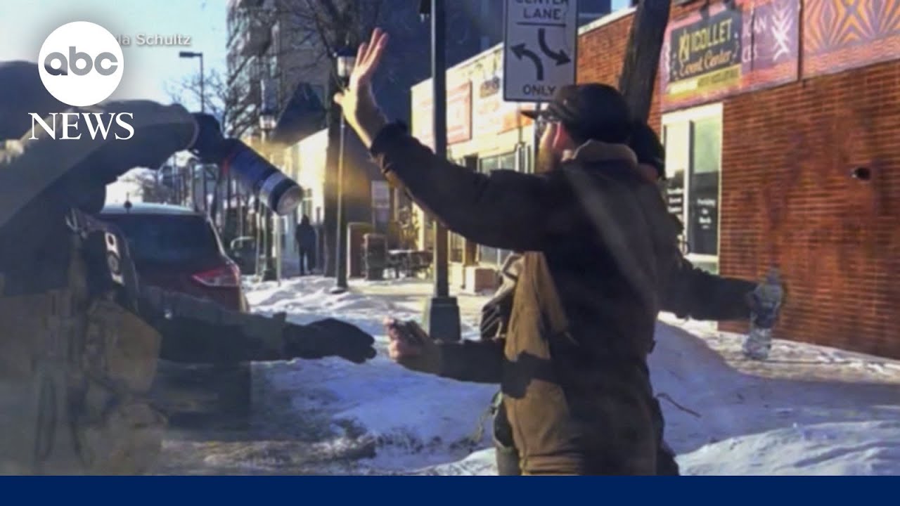 Witness videos of the fatal shooting of Alex Pretti