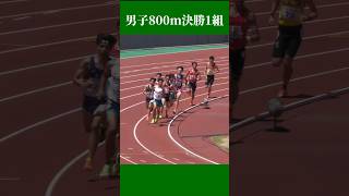 男子800m決勝1組
