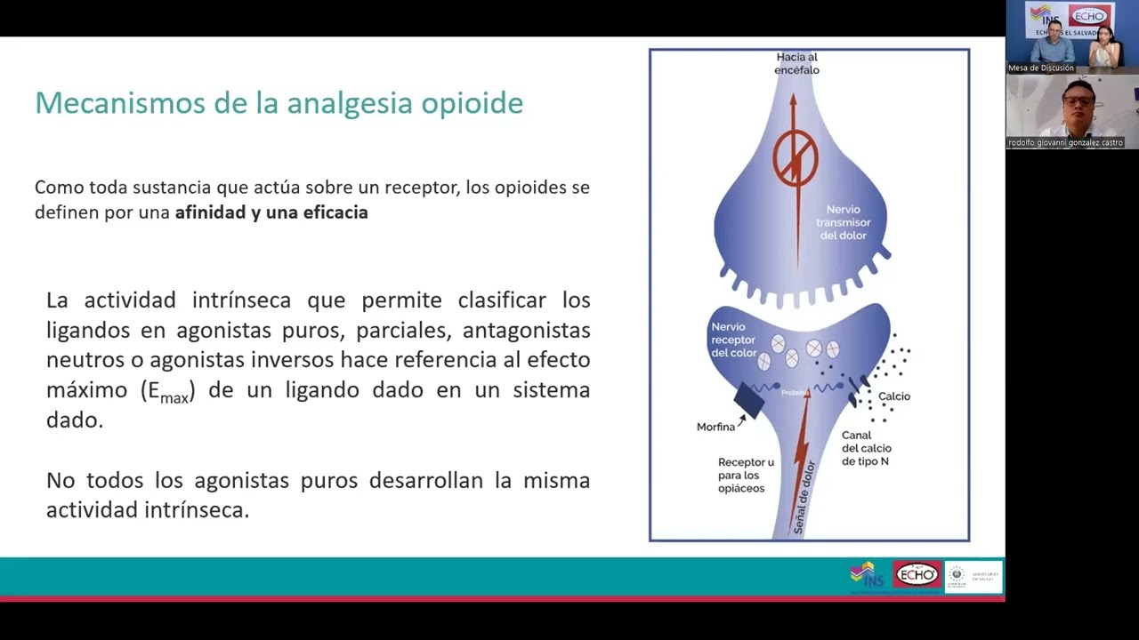 Manejo de Opioides en Cuidados Paliativos
