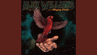Video thumbnail of "Alex Williams - Conspiracy"