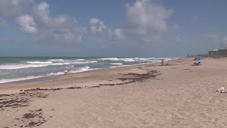 8 people dead after falling victim to rip currents in Florida