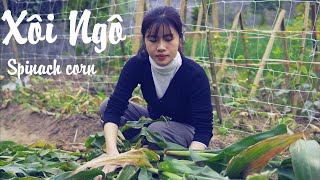 Corn - cooking it with sticky rice and fried onion, desert is Sweet Corn Soup | Bep Nha Minh