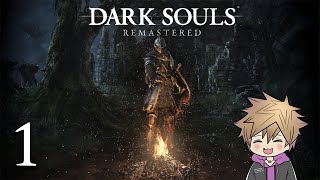 Die Legende des schwersten Spiel aller Zeiten | Dark Souls Remastered VOD 1