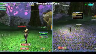 Cat Warrior Life Epi 4 Going To Dlf Places