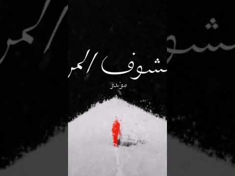 دلوقتى تقدر تسمع اغنية نشوف المر راب اغاني   