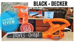 Top Rated Leaf Blower Comparison: CORDED or CORDLESS? (BLACK+DECKER LSW221  VS LB700) 