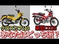 新型ハンターCT125 と クロスカブ110 どっちか買わなきゃ死ぬと言われたら、あなたはどっちを買いますか?(ゆっくり雑談)