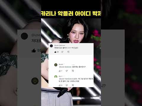 카리나 선넘는 댓글 모음 ㅠㅠ 더 많은건 댓참