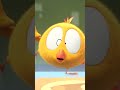 ¿qué está pasando? #Shorts #Chicky | Cartoon for kids | Dibujos para niños