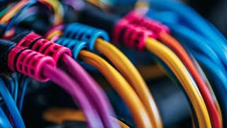 Connect 3 black wires to new switch