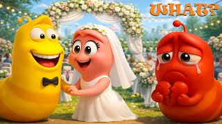 LARVA SEASON 6 EPISODE NEW 2026 | Larva Funny Wedding | CARTOON COMEDY YELLOW, RED, PINK