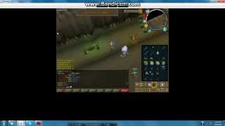 NLSCAPE 667 eco rsps.