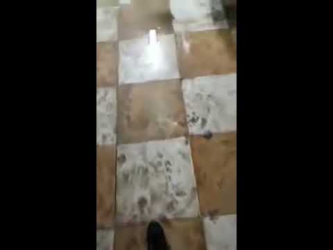 وحدة غسيل الكلى بمستشفى مركز قوص العام محافظة قنا