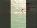 الموهبة التي يفضلها الجميع الموهبة التي يفضلها الجميع