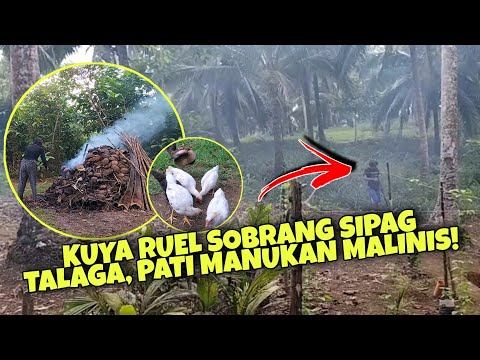 KUYA RUEL SA FARM SOBRANG SIPAG TALAGA || MANUKAN || MR RON OFFICIAL